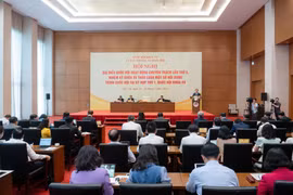Đại biểu Quốc hội đề nghị bổ sung quy định để làm rõ phạm vi Vùng Thủ đô