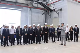 Việt Nam - Phần Lan tăng cường hợp tác, hướng tới mục tiêu phát triển xanh, bền vững
