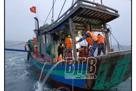 Thái Bình: Vi phạm khai thác IUU, hai tàu cá bị phạt hơn 30 triệu đồng