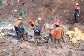 Mỏ vàng sập do lở đất ở Indonesia, 15 người thiệt mạng
