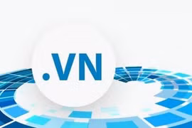 Sử dụng tên miền quốc gia .vn có thể mất phí 40 triệu đồng/năm