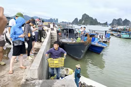 ADB: Việt Nam đã nỗ lực phi thường trong việc ứng phó với thiệt hại do bão Yagi gây ra