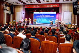 Phải chăng nên cho sinh viên thực tập ngay từ năm học thứ 2?
