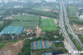 Hà Nội: Yêu cầu xử nghiêm việc san lấp đất nông nghiệp làm sân Pickleball và các công trình khác
