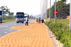 Bắc Ninh: Xử lý nghiêm các trường hợp cố tình lấn chiếm lòng đường, vỉa hè làm nơi tuốt lúa, phơi thóc