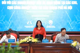 Tiến độ xây dựng các cụm công nghiệp còn rất chậm do quy định, thủ tục, giấy phép còn chồng chéo