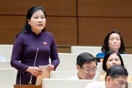 Đảm bảo vai trò chủ đạo của ngân sách trung ương, cải thiện môi trường đầu tư kinh doanh