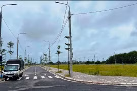 Nam Định: Tăng cường quản lý, công khai và minh bạch trong hoạt động đấu giá đất