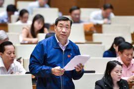Nên công khai điều chỉnh giá điện và có sự giám sát của cơ quan quản lý Nhà nước