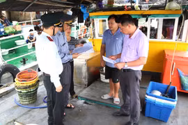 Năm 2024, Quảng Ninh có 282 trường hợp vi phạm trong lĩnh vực khai thác thủy sản