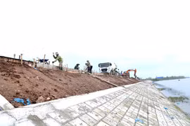 Nhiều hạn chế trong công tác hộ đê qua cơn bão lịch sử