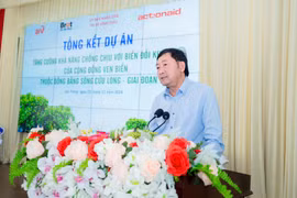 Đồng bằng Sông Cửu Long: 105 ha rừng ngập mặn được trồng và cải tạo mới