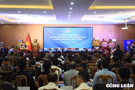 VFF hướng tới việc xây dựng, phát huy tốt các hoạt động tập thể cho bóng đá Việt Nam
