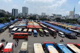 Hà Nội: Tạm dừng cấp, đổi phù hiệp cho phương tiện của 11 đơn vị vận tải