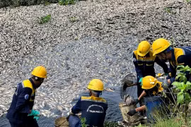 Cá chết nổi trắng hồ ở Đà Nẵng