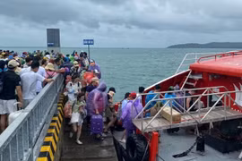 Hơn 5.600 du khách tránh bão trên đảo Cô Tô và đảo Cát Bà