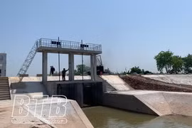 Thái Bình: Bảo đảm an toàn công trình và hạ du hồ chứa nước mùa lũ năm 2024
