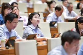 Quốc hội cho phép Đà Nẵng thí điểm thành lập Khu thương mại tự do