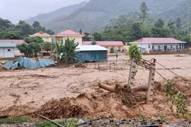 Nhiều người chết do thiên tai, Bộ NN&PTNT ra công điện hỏa tốc