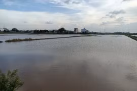 Nam Định: Chủ động ứng phó với biến đổi khí hậu và tăng cường bảo vệ môi trường