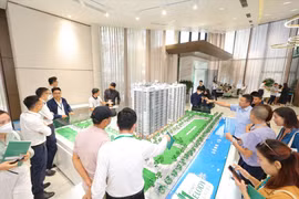 Sàn giao dịch bất động sản hoạt động cần những điều kiện gì?
