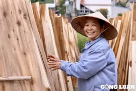 Khám phá nghề làm ván bóc ở Đồng Cướm, tỉnh Tuyên Quang