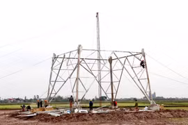 Ninh Bình là một trong 2 tỉnh đã hoàn thành bàn giao khoảng néo thực hiện dự án đường dây 500kV mạch 3