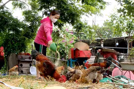 Các chương trình tín dụng của Ngân hàng chính sách xã hội Bắc Ninh đáp ứng sâu rộng đến từng đối tượng hộ nghèo