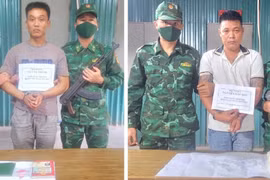 Bộ đội Biên phòng tỉnh Quảng Bình bắt giữ các vụ vận chuyển trái phép chất ma túy