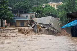 Mưa lũ tại 9 tỉnh miền Bắc: 7 người tử vong, 43 ngôi nhà phải di dời người dân khẩn cấp