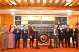 BCG Energy (BGE) chào sàn UPCoM với giá 15.600 đồng/cổ phiếu, vốn hóa đạt 11.388 tỷ đồng