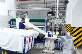 Nam Định: Chỉ số sản xuất toàn ngành công nghiệp 7 tháng đầu năm tăng cao nhất từ năm 2019 đến nay