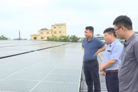 Toàn tỉnh Thái Bình có 452 dự án năng lượng mặt trời
