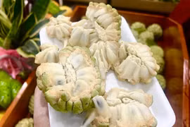 Loại quả từng bị lãng quên nay lại được săn đón, giá 200.000 đồng/kg vẫn 'cháy' hàng
