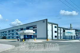 Nam Định: Bình quân một tháng có 159 doanh nghiệp thành lập mới và quay trở lại hoạt động
