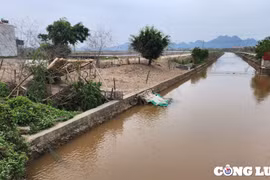 Vụ Công ty Việt Hùng gian lận đấu thầu tại xã Yên Lâm (Yên Mô): Chuyển thông tin sang Công an tỉnh Ninh Bình