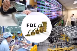 Thành phố Hồ Chí Minh thu hút vốn FDI nhiều nhất năm 2023