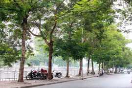 Xốn xang đầu năm