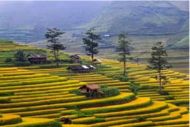 Du lịch cộng đồng Pù Luông - Cơ hội và thách thức cho phát triển bền vững