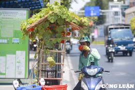 Nam Bộ nắng nóng đỉnh điểm kéo dài, 2 ngày tới nhiệt độ có nơi trên 37 độ C