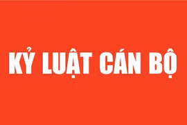 Bộ Chính trị, Ban Bí thư xem xét, thi hành kỷ luật tổ chức đảng, đảng viên