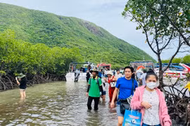 Du lịch Việt Nam hướng tới Net Zero: Chuyển đổi xanh kiến tạo tương lai bền vững