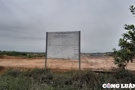 Tam Dương (Vĩnh Phúc): 'Ngổn ngang' tại các dự án đấu giá quyền sử dụng đất và giao đất ở?
