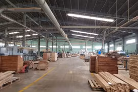 Gỗ Trường Thành (TTF) kinh doanh gặp khó, cổ phiếu mất giá, lãnh đạo tranh thủ thâu tóm cổ phần