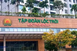 Lộc Trời Group (LTG) vẫn chưa công bố BCTC, bổ nhiệm thêm 2 lãnh đạo trước thềm ĐHĐCĐ