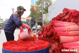 Người dân làng hương Quảng Phú Cầu tất bật vào vụ Tết