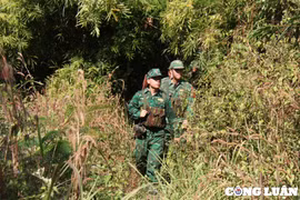 Cái Tết đặc biệt của người lính quân hàm xanh nơi biên giới Gia Lai