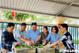 Cặp bánh chưng nặng hơn 70 kg dâng lên Quốc tổ Hùng Vương ở Hà Tĩnh