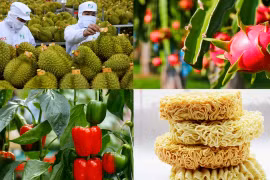 EU đưa vào diện kiểm soát 5 mặt hàng nông sản, thực phẩm của Việt Nam