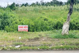 Bạc Liêu: Bắt tạm giam Trưởng phòng Quản lý đô thị thị xã Giá Rai